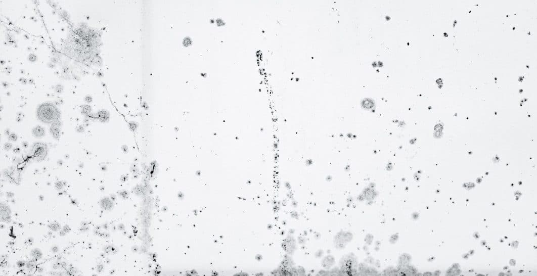 Mold spots forming on drywall in a humid New Orleans home