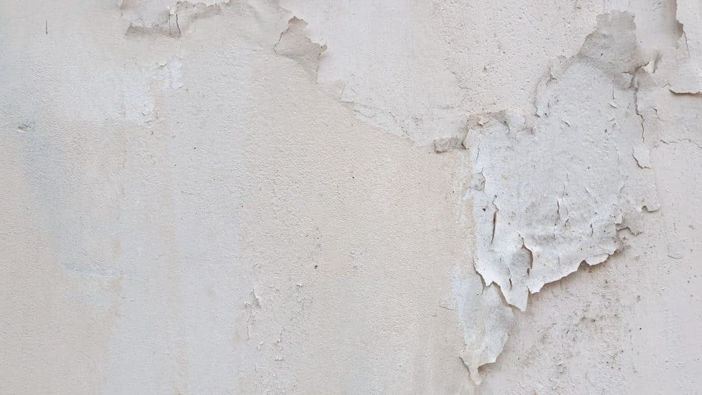 Bubbling and peeling paint on a water damaged drywall wall